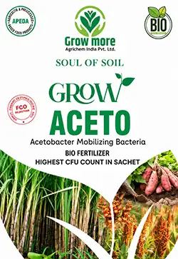 Aceto