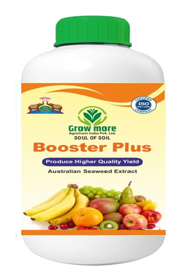 Nitro Bio Fertilizer Capsules